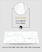 WHITE SPIDER - Image 2