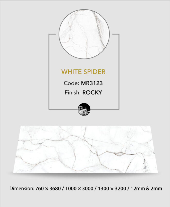 WHITE SPIDER - Image 2